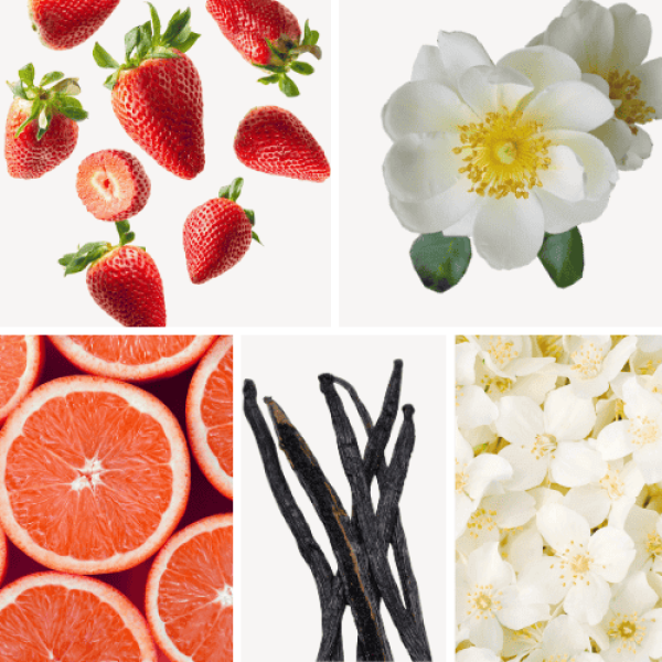 Duftnoten: Erdbeere, Gardenie, Blutorange, Vanille, Jasmin